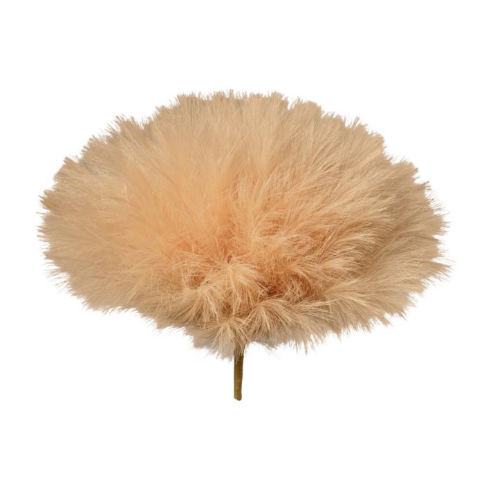 BOUQUET DI PAMPAS H46 ECRU